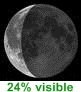 24% visible