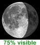 75.4% visible
